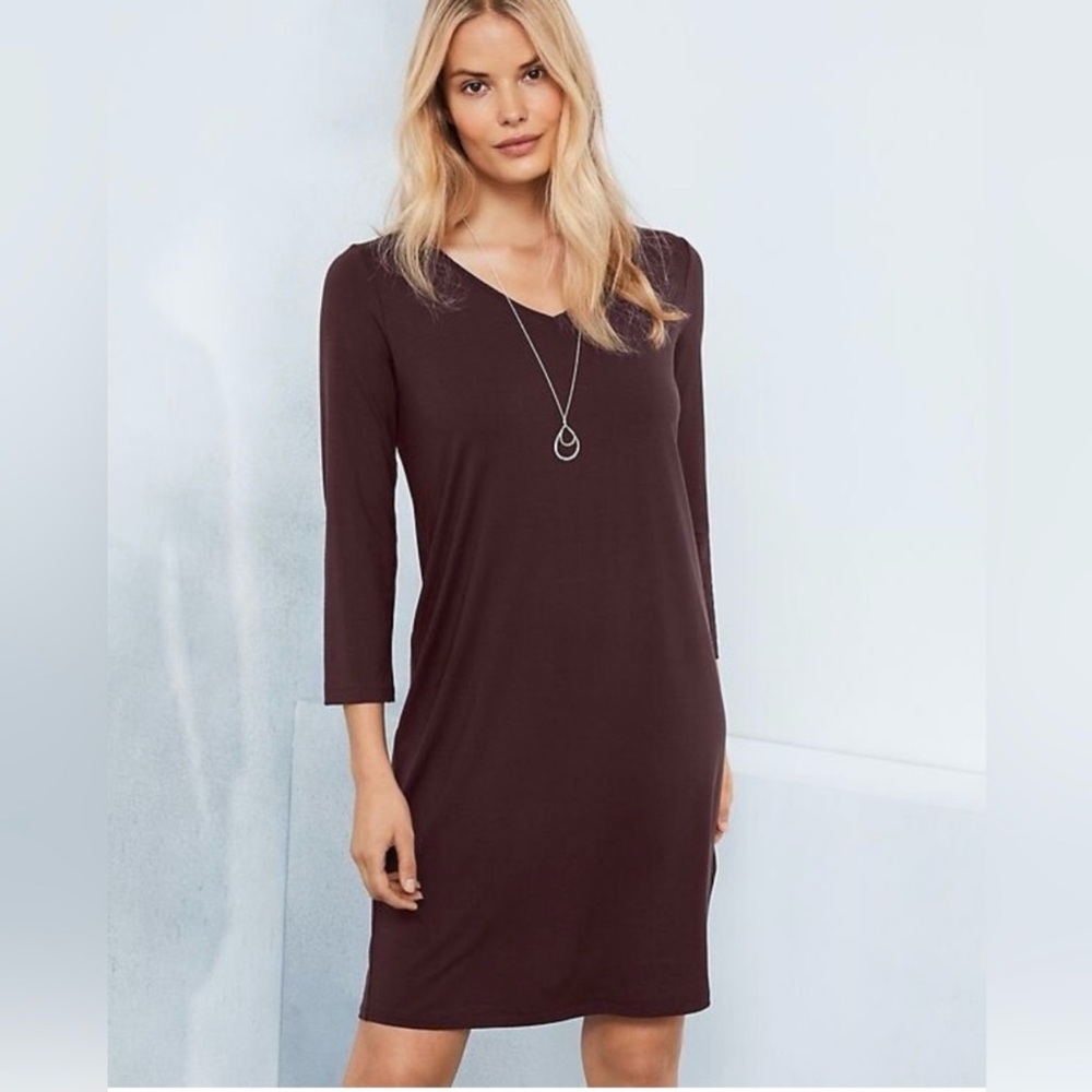 Eileen Fisher long sleeve v-neck pop over shirt shift dress
